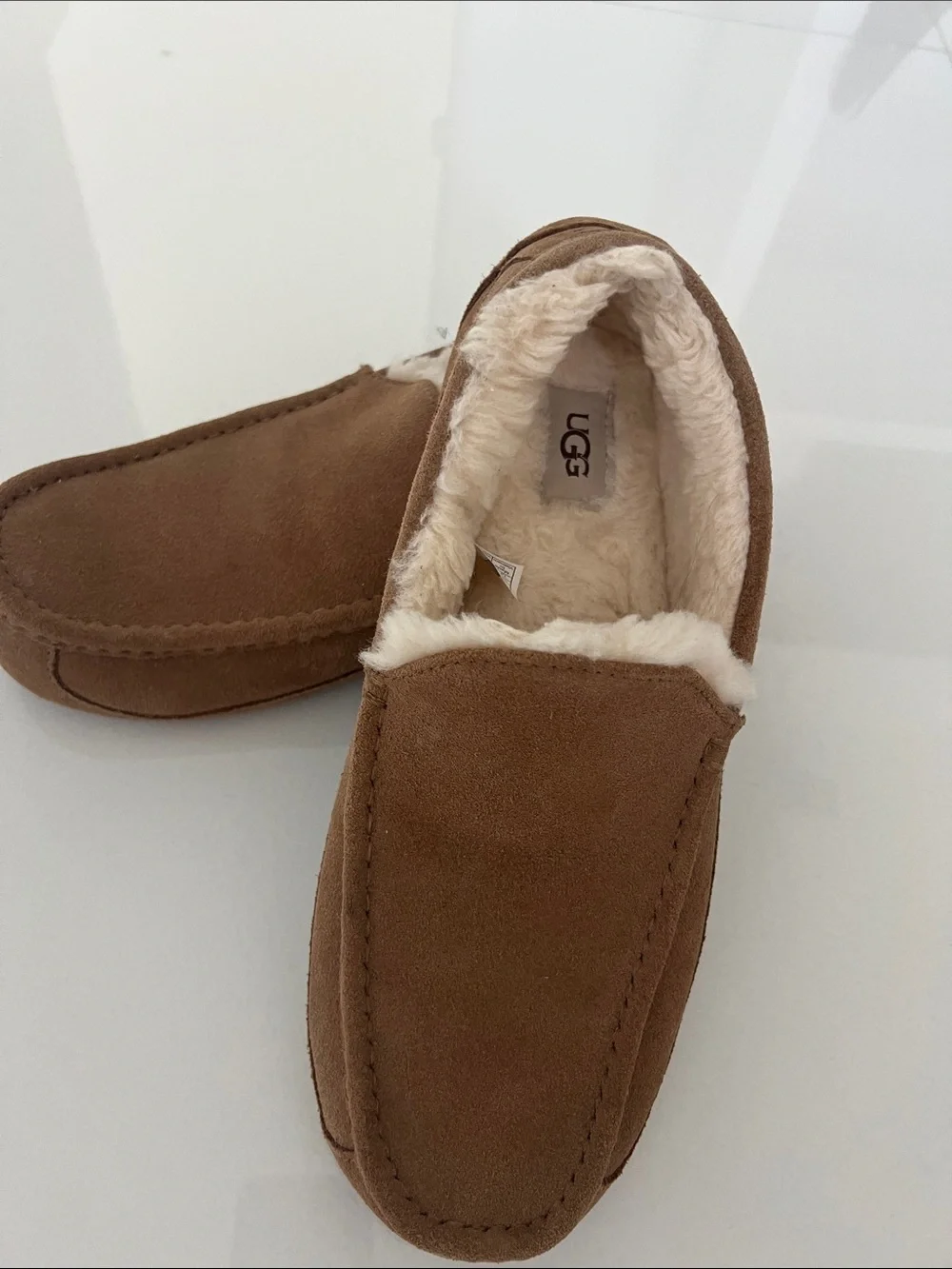 UGG classic suede